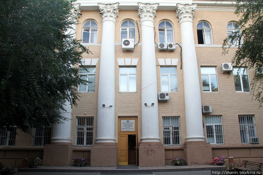 Институт искусств и музыки Волгоград, Россия