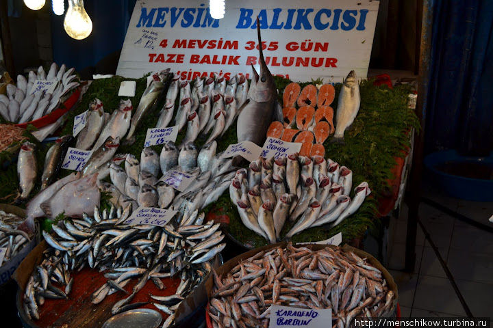 Рыба — стамбульское всё. Стамбул, Турция