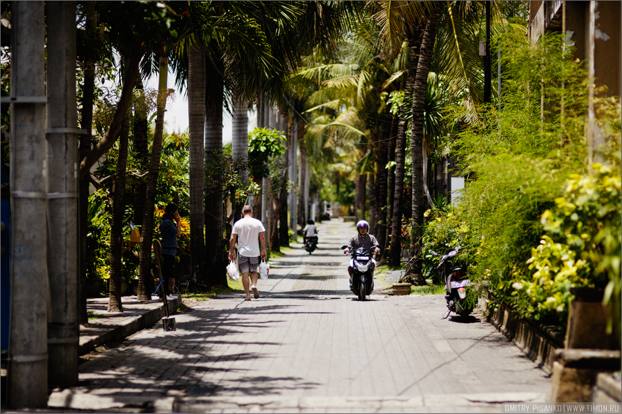 Их нравы Бали, Индонезия Их нравы Бали, Индонезия