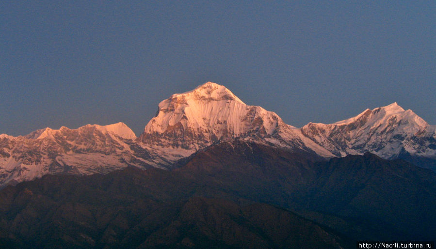 Трек вокруг Аннапурны:  встреча рассвета на Пун Хилл Горепани, Непал
