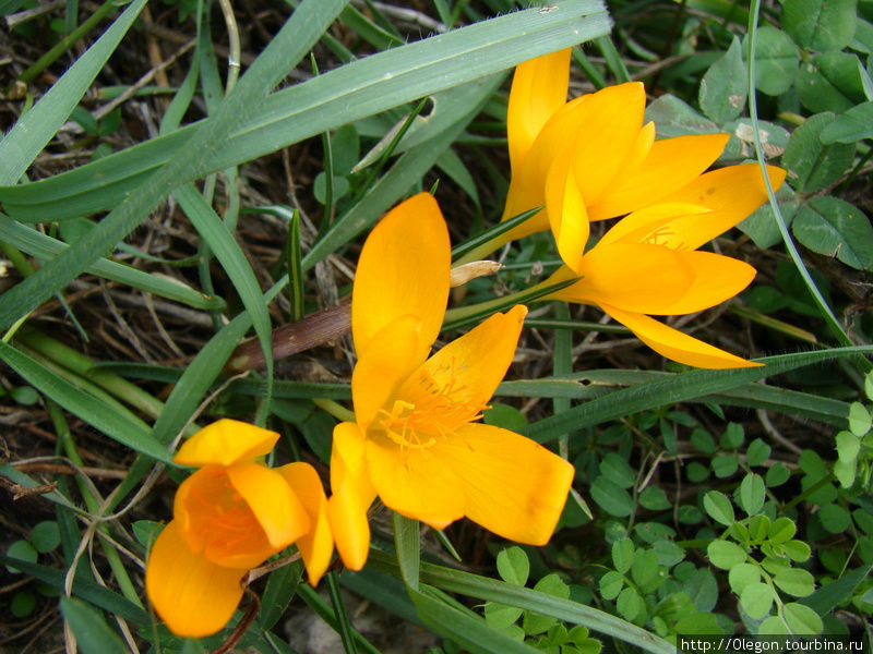В долине Кадиша Долина Кадиша, Ливан В долине Кадиша Долина Кадиша, Ливан