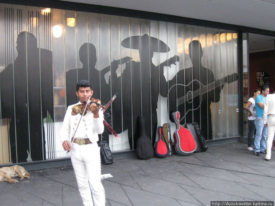 Это музей текилы. У его входа. Это музей текилы. У его входа.