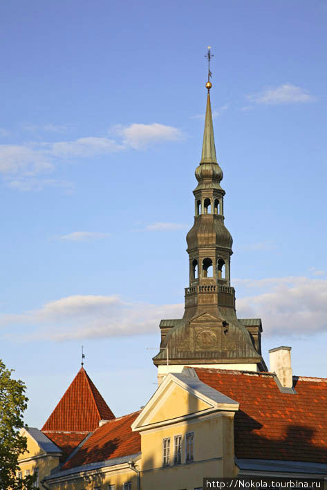Музей Нигулисте Таллин, Эстония