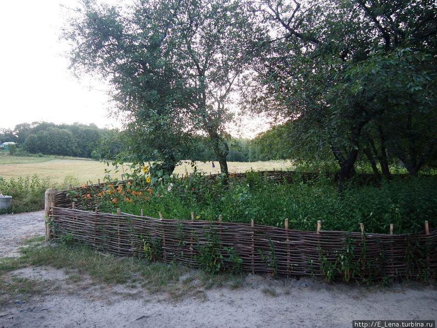 Праздник Ивана Купала в Пирогово Праздник Ивана Купала в Пирогово