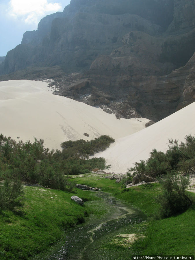 Пляж Дийлеша, или как засадить Круизер Остров Сокотра, Йемен