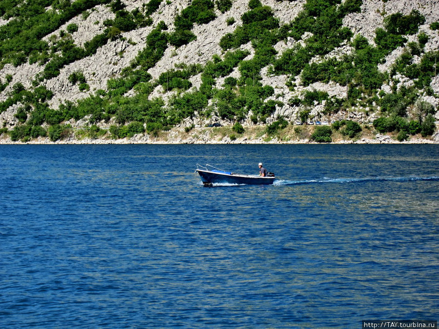 лодка-такси спешит за клиентами Пераст, Черногория