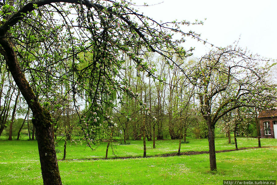 Яблоневый сад Лизьё, Франция
