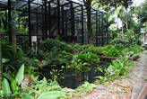 Зоологический и Ботанический сады в Гонконге