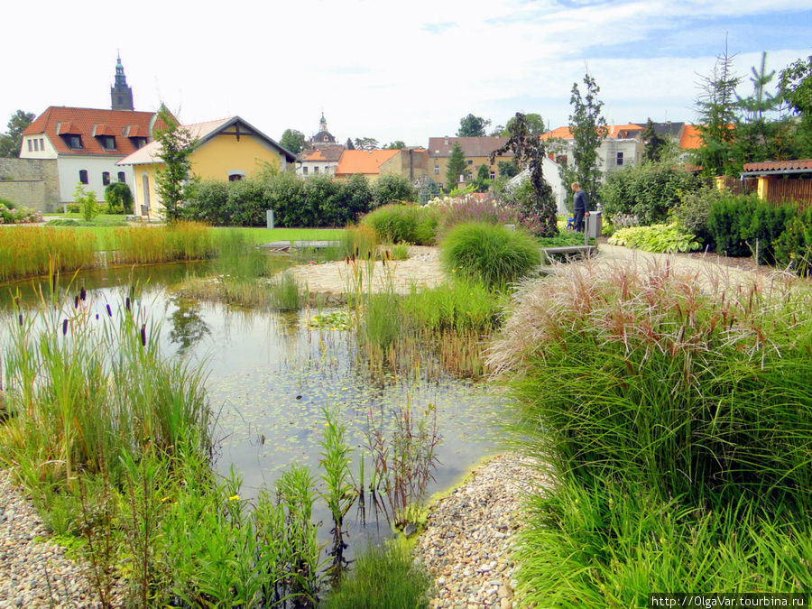 Даже в городе можно встретить такие островки природы Литомержице, Чехия