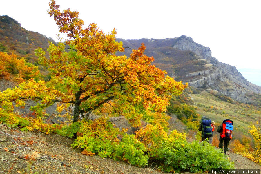 Осенью в горах очень красиво. Деревья еще не сбросили свой наряд и шелестят разноцветной листвой Алушта, Россия