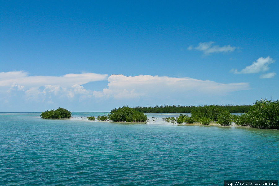 Остров-заповедник Кайо Ларго Кайо Ларго, Куба