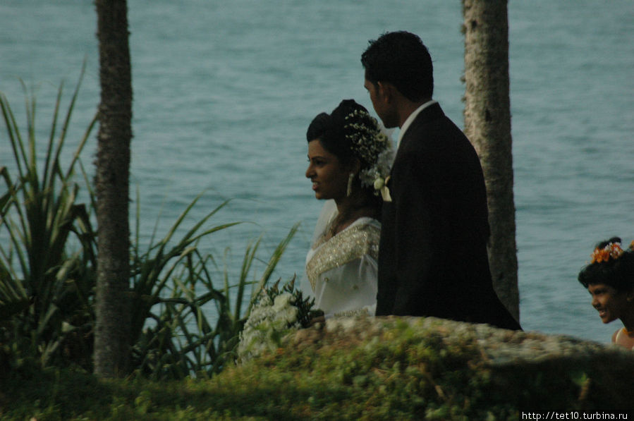 Шри Ланка -  свадьба Южная провинция, Шри-Ланка