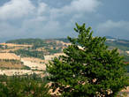 Вид на окрестности Урбино с крепости  Альборноз