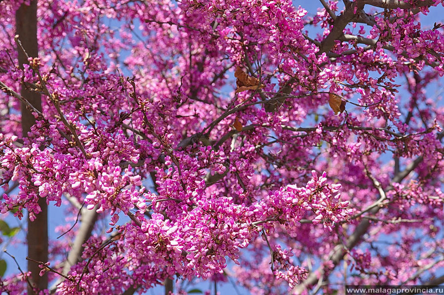 Первое, при виде чего люди превращаются в камень, по пути в горы Первое, при виде чего люди превращаются в камень, по пути в горы