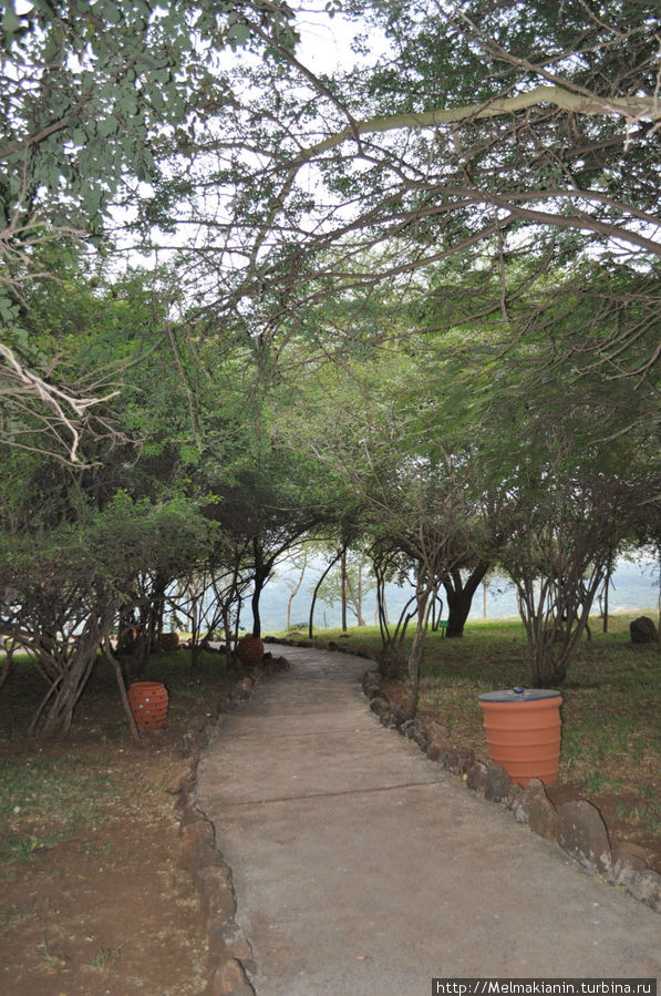 Лейк Маньяра Сопа лодж Национальный парк Озеро Маньяра, Танзания
