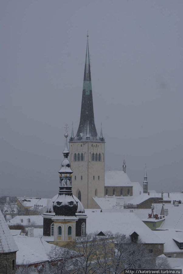 Панорама Таллинна со смотровой площадки Таллин, Эстония