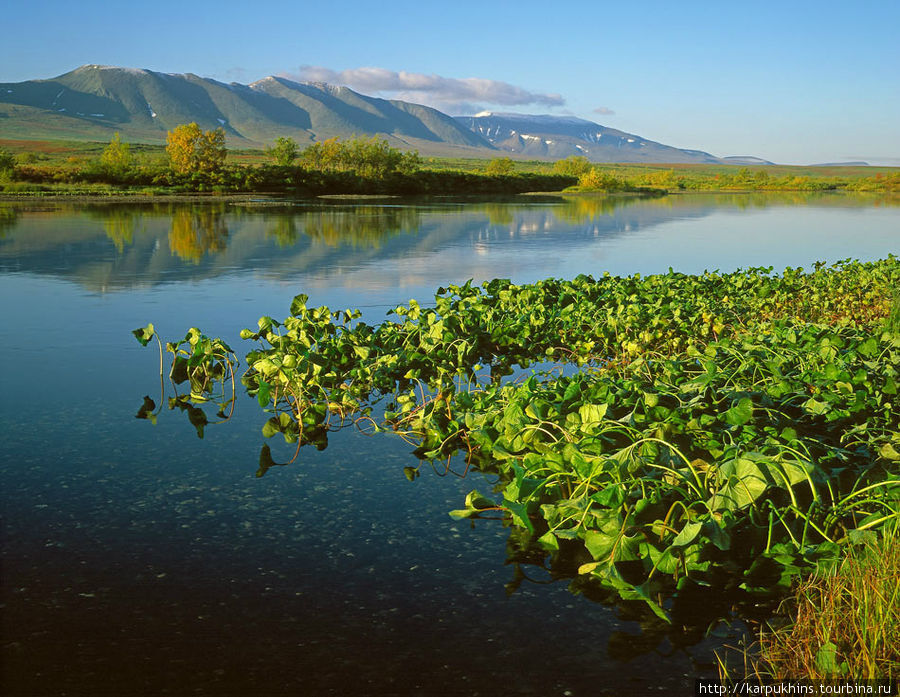 Река Собь и массив Рай-Из на дальнем плане. Ямало-Ненецкий автономный округ, Россия
