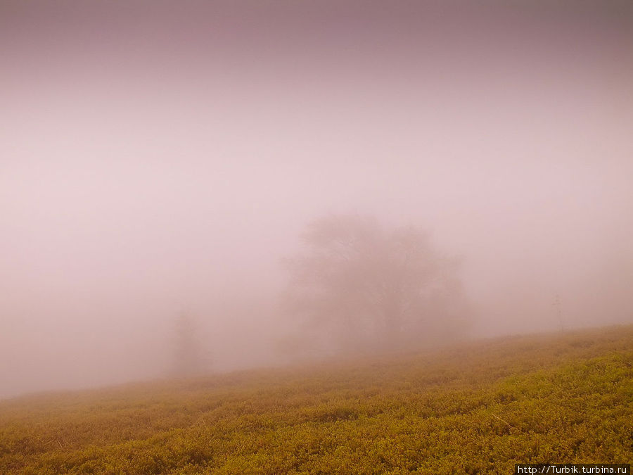 По вершинам Боржавы Межгорье, Украина По вершинам Боржавы Межгорье, Украина