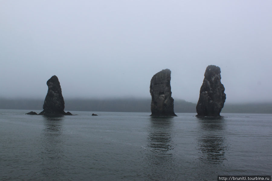 Три брата туманным утром
Авачинская бухта Камчатский край, Россия