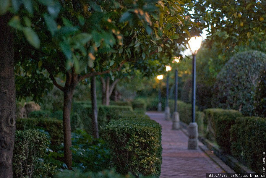 Романтика садов Алькасара в Кордове и ночной город Кордова, Испания