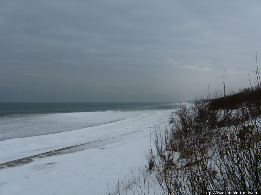 Снег на пляже не задерживается, ветер... Куршская Коса Национальный Парк, Россия