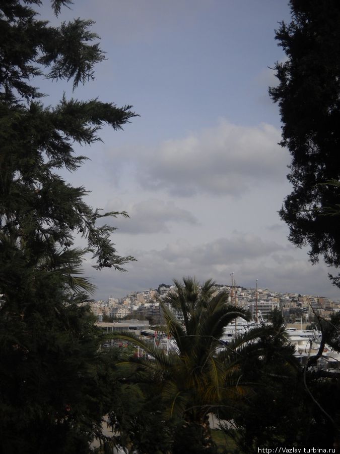 Среди деревьев Среди деревьев