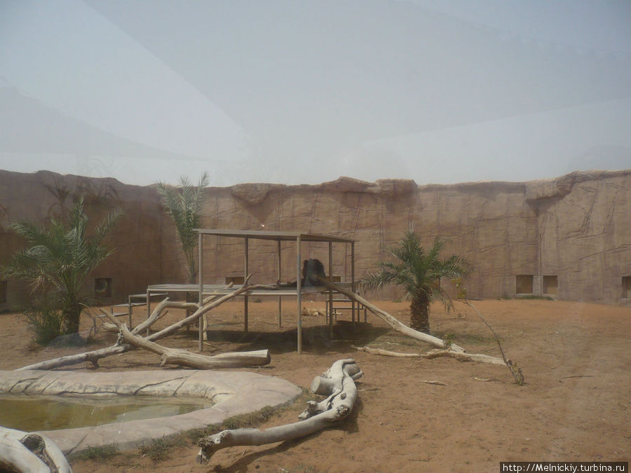 Зоопарк Аль-Айн Аль-Айн (Аль-Хили), ОАЭ