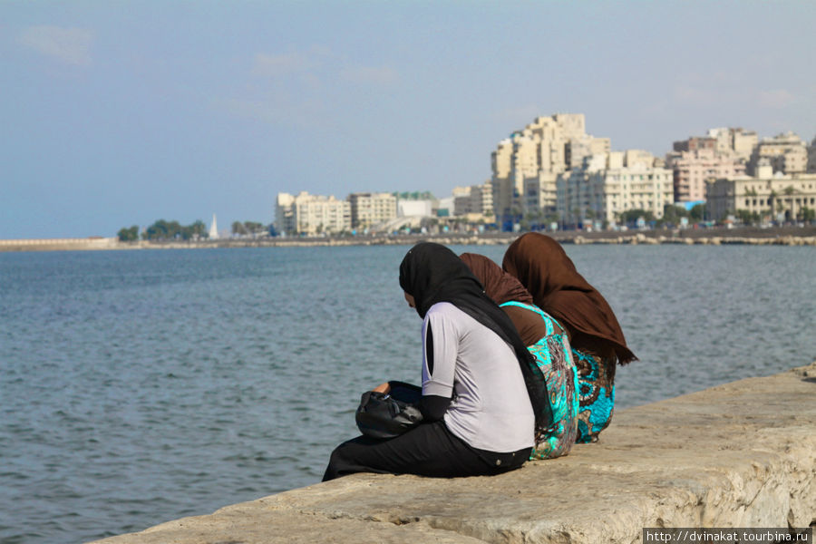 Сидят девчонки, сидят в сторонке, платочки в руках теребя... Александрия, Египет