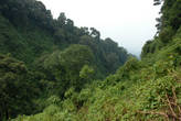 Горные долины Руанды