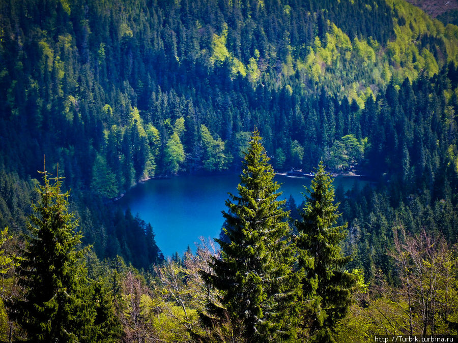 вид на Синевир со склона г. Озёрной Синевир Национальный Парк, Украина