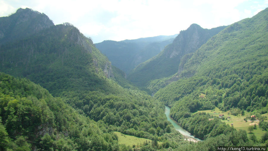 Ясные воды реки Тара Национальный парк Дурмитор, Черногория