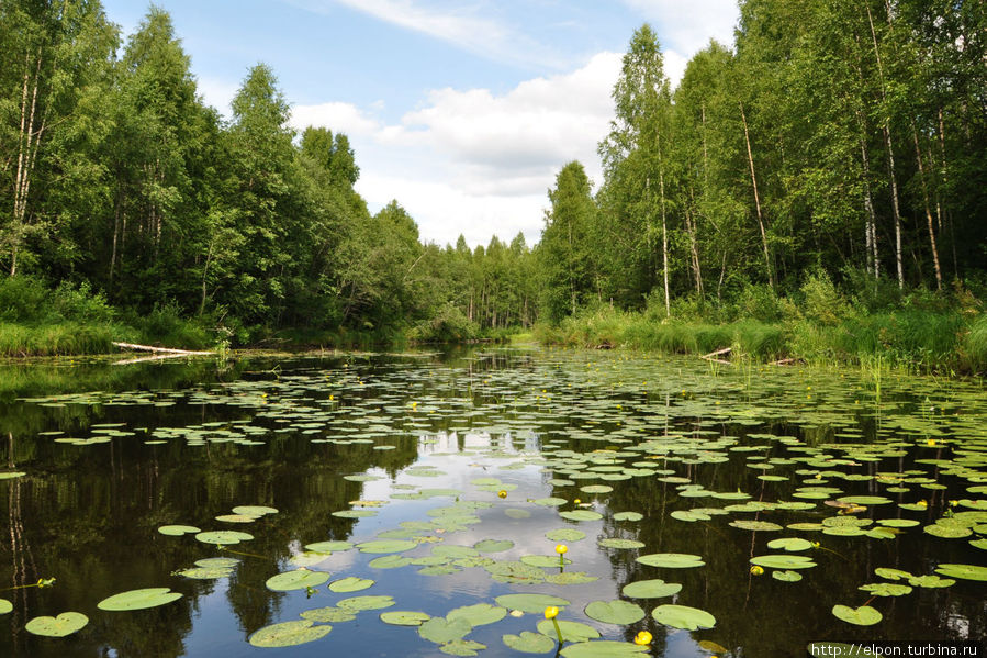 Где-то в Карелии... Республика Карелия, Россия Где-то в Карелии... Республика Карелия, Россия