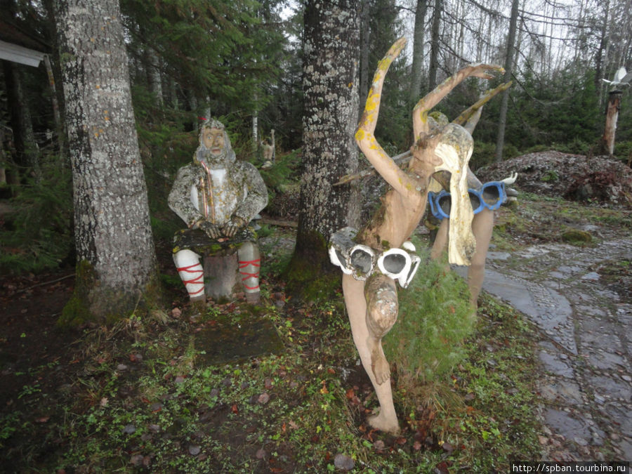 Мистический лес Патсаспуйсто Париккала, Финляндия