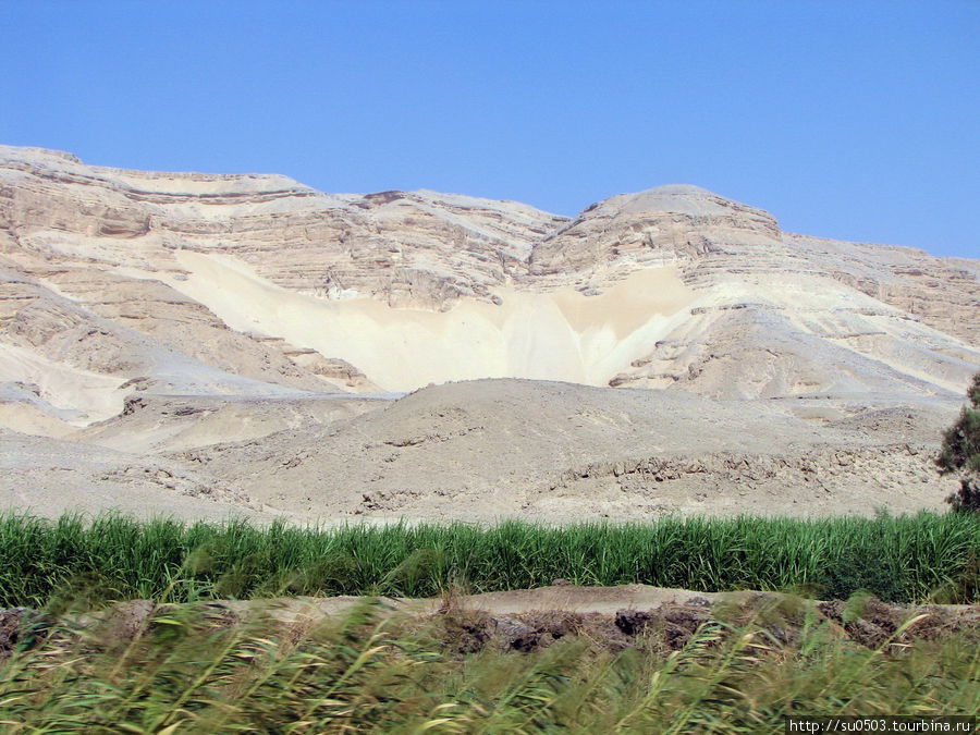 По дороге в Дендеру Египет
