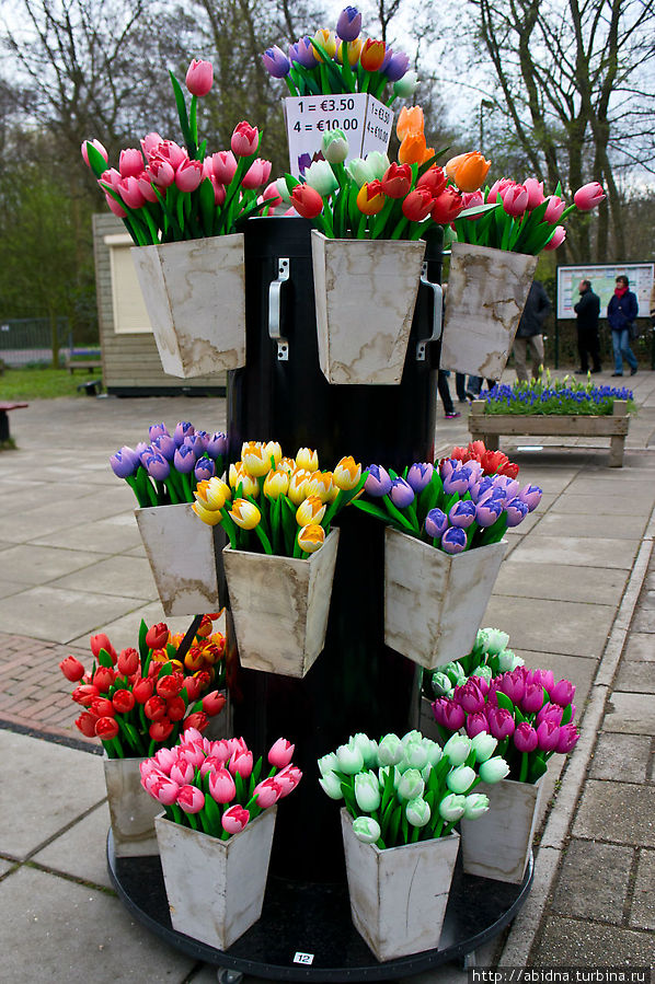 Это перед входом в Кекенхоф, Сверху ценник. В  Амстердаме 1 цветочек — 1,5 евро. Амстердам, Нидерланды