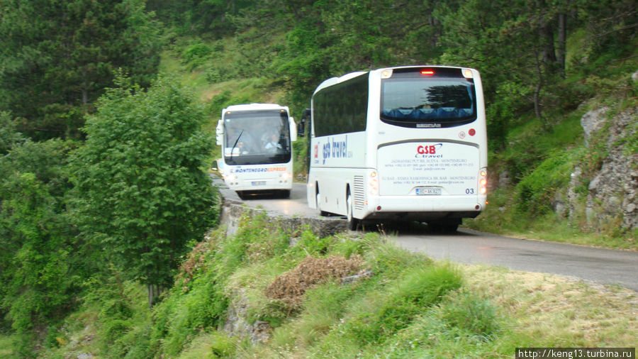 Встреча двух автобусов на узкой горной дороге. Черногория