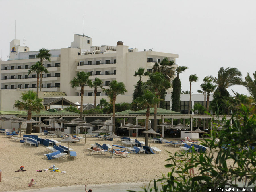 отель  Adams Beach Айя-Напа, Кипр