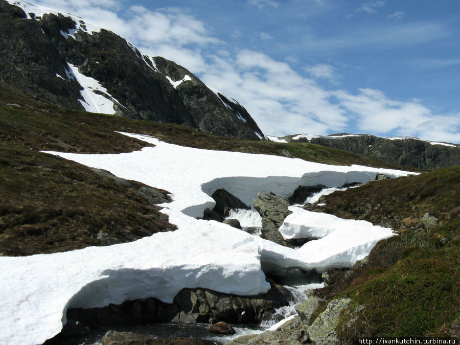 Источники многочисленных ручьев — горные снега. Гейрангер - Гейрангерфьорд, Норвегия