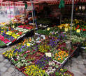 Улицы города изобилуют цветами перед праздником Пасхи