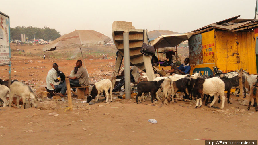 Купи козла Кумаси, Гана