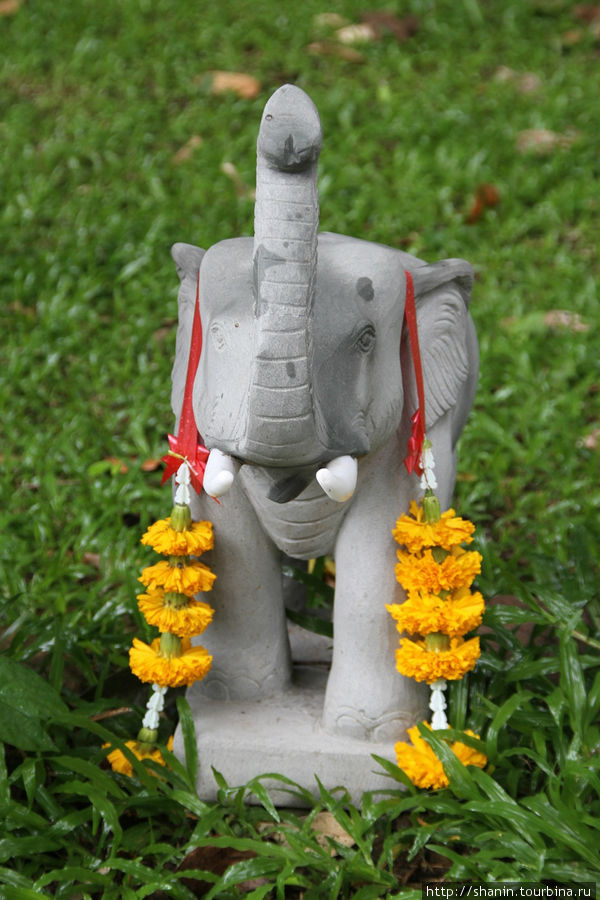 Индия про санскрит и какашку священного слона. Спецрепортаж "Экоград" - фото 2