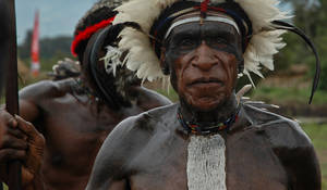 Но где еще в Папуа можно увидеть такого колоритного аборигена? А на фестивале выступали целых 39 групп! Такой массовости я не ожидал.