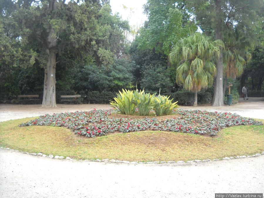 Суперклумба Суперклумба