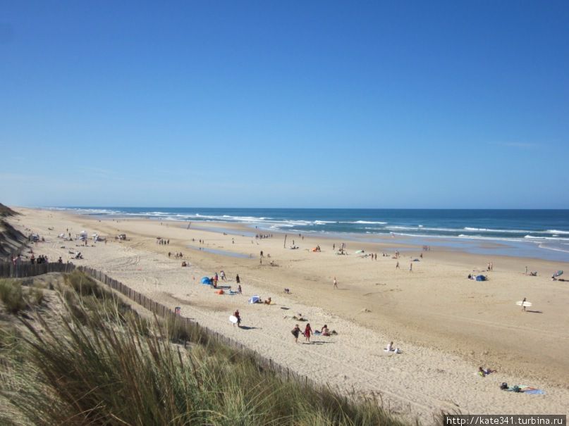 Как я провела 2011 год Как я провела 2011 год