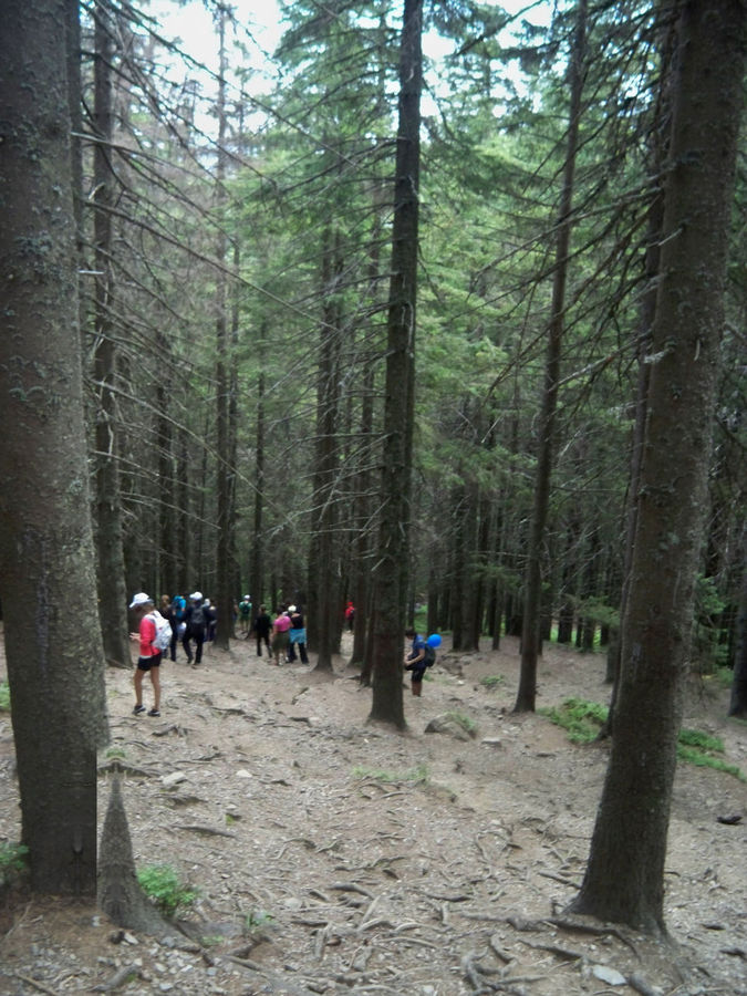 Возвращение Возвращение