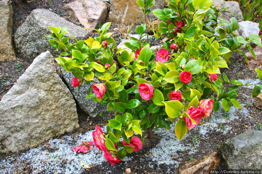 Люблю грозу в начале марта... Паламос, Испания Люблю грозу в начале марта... Паламос, Испания