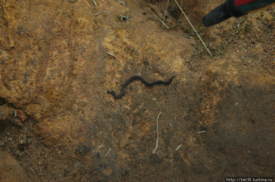 На пути к водопаду нас подстерегали опасности и На пути к водопаду нас подстерегали опасности и