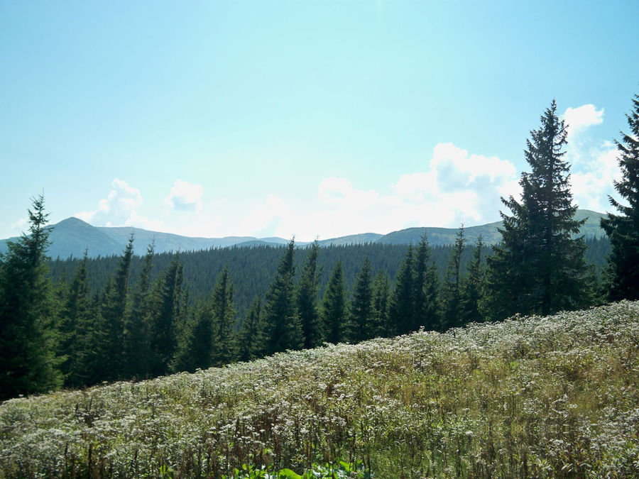 Как красиво! Как красиво!