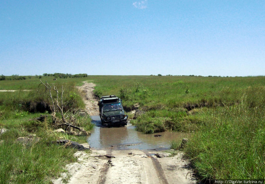 Дорогами саванны Масаи-Мара Национальный Парк, Кения
