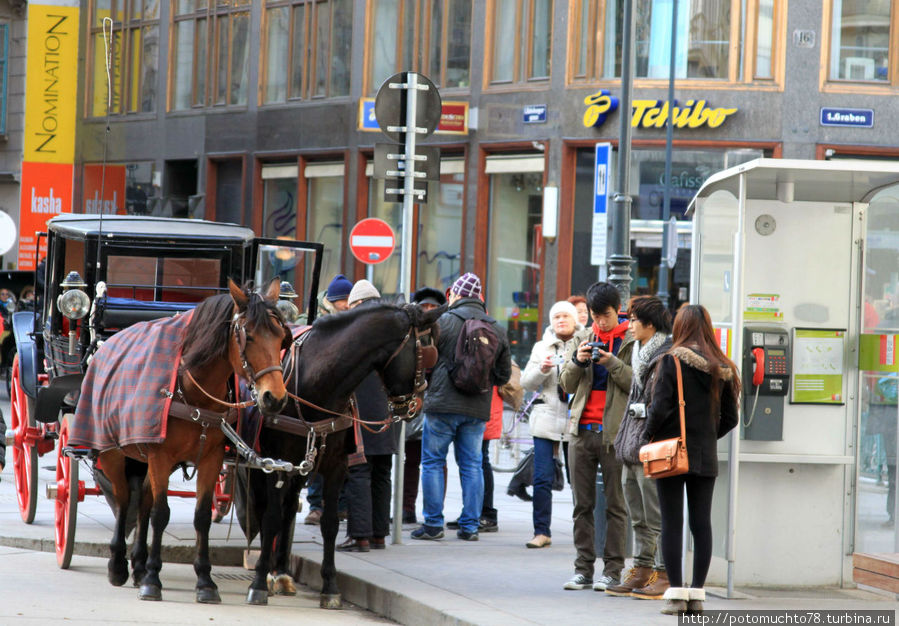 Январские улицы Вены Вена, Австрия